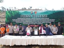 Polda Riau: Empat Orang Tersangka Perambahan Hutan di Siabu Kabupaten Kampar