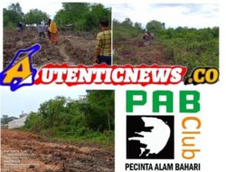 Viral….!!! LSM PAB Clum Dumai Letupkan Satu Peristiwa, Rusaknya Kawasan Mangrove di Lokasi PT EUP