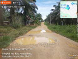 Masyarakat Desa Pongkai Keluhkan Jalan Rusak Yang Tak Kunjung Diperbaiki, Pemerintah Kabupaten Kampar Diminta Turun Tangan