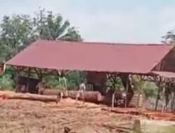 Terlindungi: Penebangan Liar dan Soumel Bebas Beraktivitas Desa Sungai Sarik