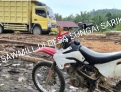 Diduga Polda Riau dan Gakkum Dinas Kehutanan Riau Tidak Bernyali Berantas Sowmil Milik (W) dan ( L) Seorang PH