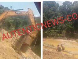 Aktivitas PETI Merajalela di Kawasan HPT, HL,HP di Desa Sungai Sarik, Kampar Kiri Diduga Ada Pembiaran Dari APH 