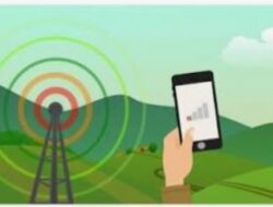 Keluhan Warga Desa Bukit Betung: Jaringan Telkomsel Terganggu Pasca Banyaknya Pemasangan WiFi