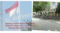 Bendera Merah Putih Robek dan Kusam di SDN 037 Karya Indah: Pemerintah Kampar Ambil Sikap Tegas