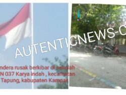 Bendera Merah Putih Robek dan Kusam di SDN 037 Karya Indah: Pemerintah Kampar Ambil Sikap Tegas