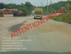 Jalan Lintas Air Molek- Kuansing Riau Rusak Berat, Diduga Akibat Mobil Berat Tambang Batu Bara