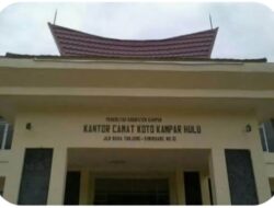 Puluhan Desa di Kampar Kiri Hulu: BUMDesnya Tak Berjalan Sesuai Harapan, Sebagian Hanya Tinggal Nama