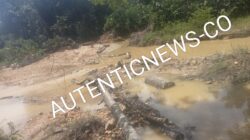 IWD : Penampung Mas Hasil Tambang Ilegal di Desa Sungai Sarik, Kampar Kiri Diduga Pemilik mesin Dompeng 10 unit