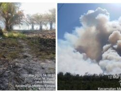 Kebakaran Lahan Kebun Sawit Milik Pak Hasim di Dumai: Tim Gabungan Kesulitan Padamkan Api Akibat Angin Kencang