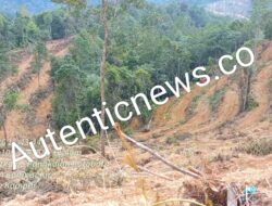 Alat Berat Diduga Milik Anggota DPR RI Merusak Hutan di Kampar Kiri, Riau: Laporan Masuk, Belum Ada Tindakan Tegas
