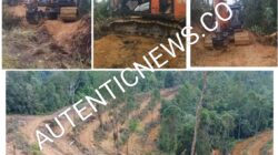 Tindak Tegas KPH: Alat Berat Diduga Milik DPR RI Dikeluarkan dari Kawasan Hutan Lubuk Agung
