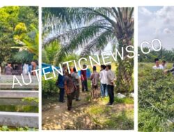 Wakil Bupati PALUTA Mediasi Sinergi untuk Perkuat Rantai Pasok Program MBG