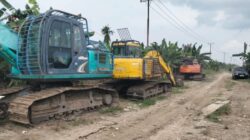 Dugaan Alih Fungsi Hutan Negara Menjadi Kebun Kelapa Ribuan Hektar di Dumai Mengungkap Ada Keterlibatan Oknum Ketua RT dan Jaringan Mafia Tanah