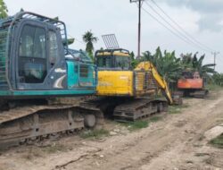 Dugaan Alih Fungsi Hutan Negara Menjadi Kebun Kelapa Ribuan Hektar di Dumai Mengungkap Ada Keterlibatan Oknum Ketua RT dan Jaringan Mafia Tanah