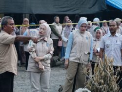 Kepedulian Nyata: Ketua TP PKK Paluta Sambangi Korban Kebakaran di Pasar Gunungtua, Berikan Dukungan Moril dan Semangat