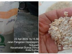 LSM KPK Dumai Temukan Beras Bulog Busuk dan Bergumpal, Bantuan  Kelurahan Ke Warga Kurang Mampu 