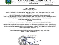 Camat Ujung Batu Himbau Masyarakat Waspada Adanya Buaya di Aliran Sungai Barumun