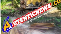Foto Mobil pengangkut kayu hasil perambahan hutan di Desa Huta Godang