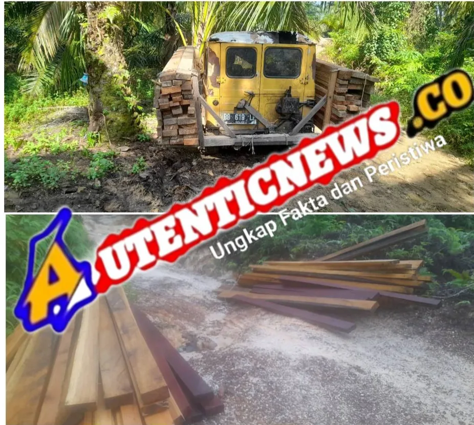 Foto Mobil pengangkut kayu hasil perambahan hutan di Desa Huta Godang