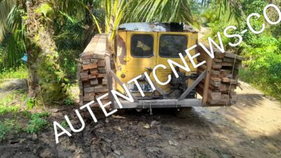 Mobil pengangkut kayu Di Bajora Dari Kawasan Hutan Lindung di Desa Huta Godang kecamatan Batang Lubu Sutan,Palas, Sumut