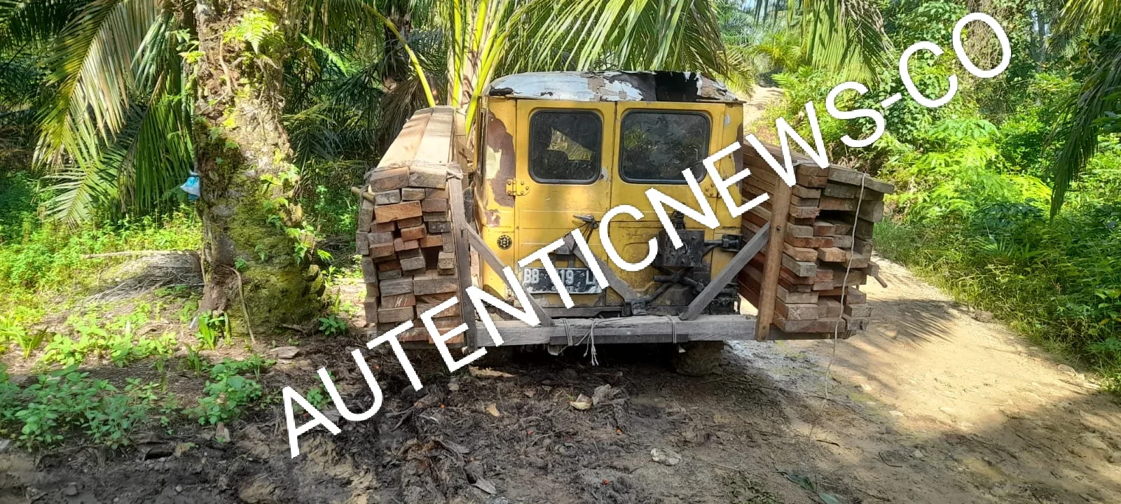 Mobil pengangkut kayu Di Bajora Dari Kawasan Hutan Lindung di Desa Huta Godang kecamatan Batang Lubu Sutan,Palas, Sumut