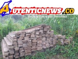 Pengusaha Kayu di Kawasan Hutan Lindung Kab.Palas Diduga melanggar Aturan nomor 41 Tahun 1999 tentang Kehutanan 