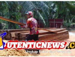 Tumpukan Kayu Olahan Diduga Hasil Penebangan Liar Ditemukan di Sungai Daun, Rokan Hilir: Terlibat Oknum TNI, Polri, dan Wartawan?
