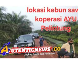 Alih Fungsi Kawasan Hutan Menjadi Kebun Sawit Kop. AYU Pelintung ± 2700 Hektar Diduga Belum Tersentuh Satgas PKH Dipertanyakan