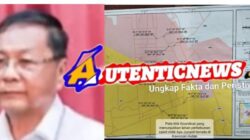 UUCK Bukan Pemutihan Kejahatan Kehutanan, P3KD Ingatkan Penegakan Hukum Tetap Berlaku