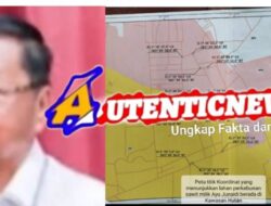 UUCK Bukan Pemutihan Kejahatan Kehutanan, P3KD Ingatkan Penegakan Hukum Tetap Berlaku
