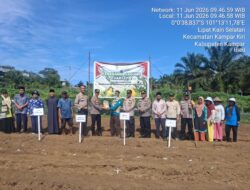 Polsek Kampar Kiri Gandeng Kompleks Pesantren Dan Poktan Tanami 1 Ha Jagung Pipil Lamuru, Dukung Ketahanan Pangan