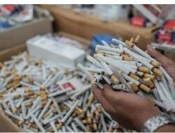 Beredar Rokok Tanpa Cukai di Riau, Diduga Rugikan Negara Ratusan Miliar Rupiah per Tahun
