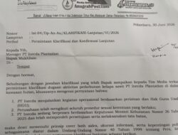 Dalih Skema Keterlanjuran PT Inecda Dipersoalkan, Ahli Nilai Tidak Tepat Diterapkan pada Dugaan Perambahan Kawasan Hutan