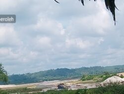 PETI Marak Bebas di Sungai Paku Singingi Hilir, Aparat Penegak Hukum Diminta Segera Bertindak Tegas