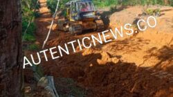 Alat Berat Dipimpin Kades Sungai Rambai Diduga Rusak Hutan Produksi Terbatas, Ribuan Hektar Beralih Jadi Sawit Tanpa Izin
