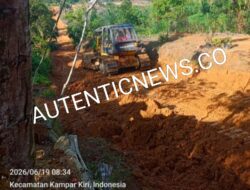 Alat Berat Dipimpin Kades Sungai Rambai Diduga Rusak Hutan Produksi Terbatas, Ribuan Hektar Beralih Jadi Sawit Tanpa Izin