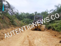 ALAT BERAT DIDUGA DIBAWA KADES SUNGAI RAMBAI RUSAK HUTAN PRODUKSI TERBATAS, RIBUAN HEKTAR BERUBAH JADI SAWIT TANPA IZIN