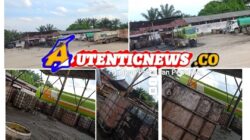 Gudang Penampungan CPO dan Kernel Sawit Jalan Lintas Duri di Km 12 Kulim Bebas Beraktivitas, Diduga Ada Oknum Baju Coklat Dibelakangnya 