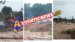 Dugaan “Delapan Naga” Bekingi PETI di Empat Kecamatan Indragiri Hulu, APH dan LHK Diminta Segera Bertindak Tegas