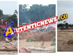 Dugaan “Delapan Naga” Bekingi PETI di Empat Kecamatan Indragiri Hulu, APH dan LHK Diminta Segera Bertindak Tegas