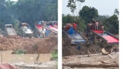 Puluhan PETI Semelinang Tebing Masih Beroperasi Tanpa Tindakan, Sekian Laporan Kapolda Riau