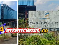 Hampir 20 Tahun Terlantar, Siapa Membiarkan PLTU Siak Mangkrak? Menelusuri Jejak APBD, Penyertaan Modal, dan Hilangnya Akuntabilitas