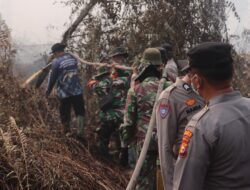 Hotspot Kampar Tinggal Dua Titik, 283 Personel Gabungan Intensifkan Pendinginan Karhutla