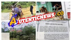 Pos Penjagaan Ketat di Kawasan Hutan Batang Ulang: Wajib Lapor Setiap Warga, Tapi Kayu Balak Bebas Keluar?