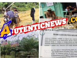 Pos Penjagaan Ketat di Kawasan Hutan Batang Ulang: Wajib Lapor Setiap Warga, Tapi Kayu Balak Bebas Keluar?