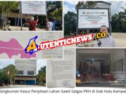 Diduga Karyawan PT Peputra Maha Raya Cabut Plang Satgas PKH, Terancam Pidana 2 Tahun 8 Bulan Atau Denda Rp200 Juta