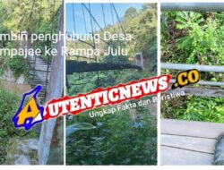 Jembatan Penyeberangan Rampa Jae–Rampa Julu Memprihatinkan, Warga Minta Pemerintah Segera Perbaiki Sebelum Menelan Korban