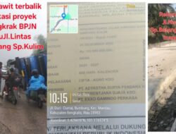 Lagi-Lagi Truk Angkutan Sawit Terbalik di Lokasi Proyek Mangkrak Jalan Nasional Simpang Batang–Simpang Kulim