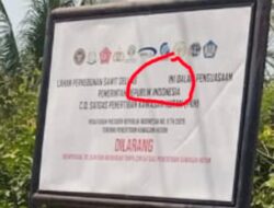 Heboh..! Ada Plang Satgas PKH, Ahwa Cs Diduga Tetap Memanen Sawit — APN Diminta Lakukan Pengawasan Ketat