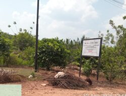 Ketua KL Dumai Pertanyakan Pekerja AHW Cs Memanen Buah Sawit Meski Ada Plang Satgas PKH — Benarkah Penertiban Hanya Formalitas?